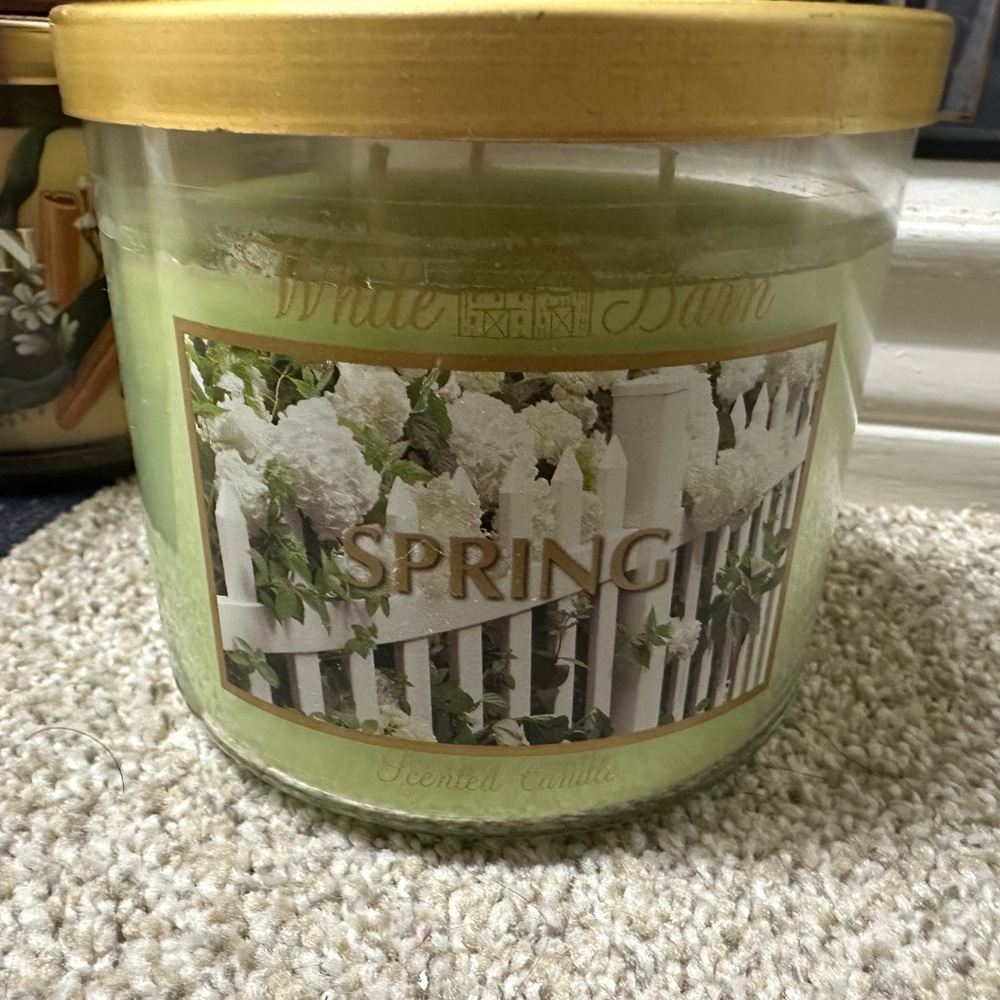Bath and Body Works Spring Candle 2012